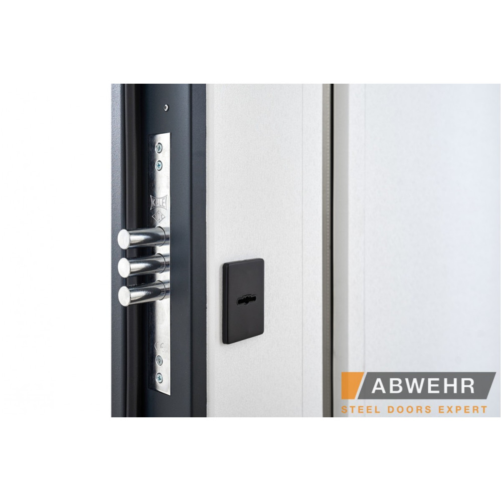 Вхідні двері ABWEHR Nordi Glass
