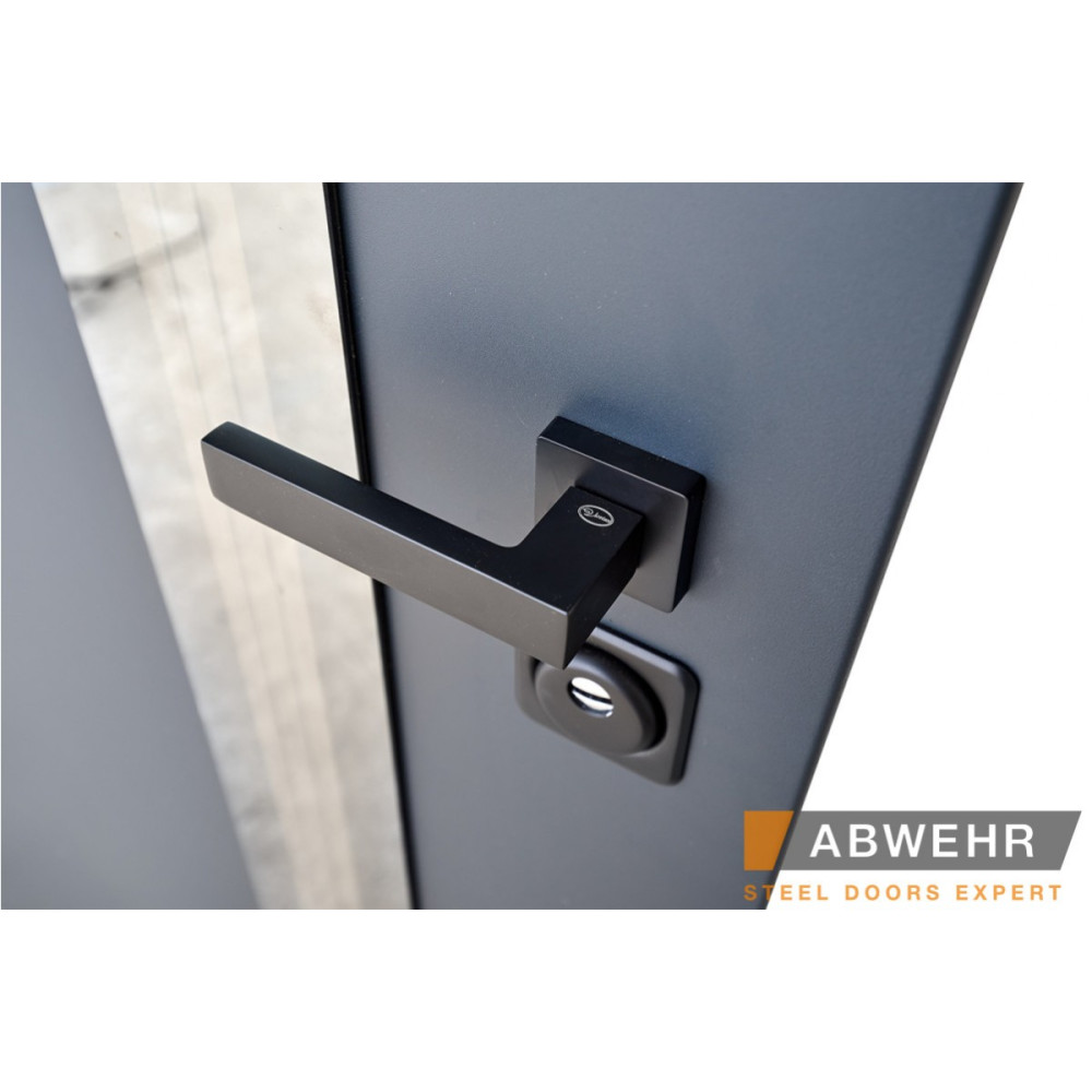Вхідні двері ABWEHR Nordi Glass