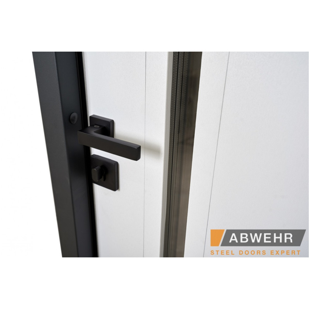 Вхідні двері ABWEHR Nordi Glass