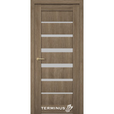 Двері TERMINUS NanoFlex #308 ПВХ
