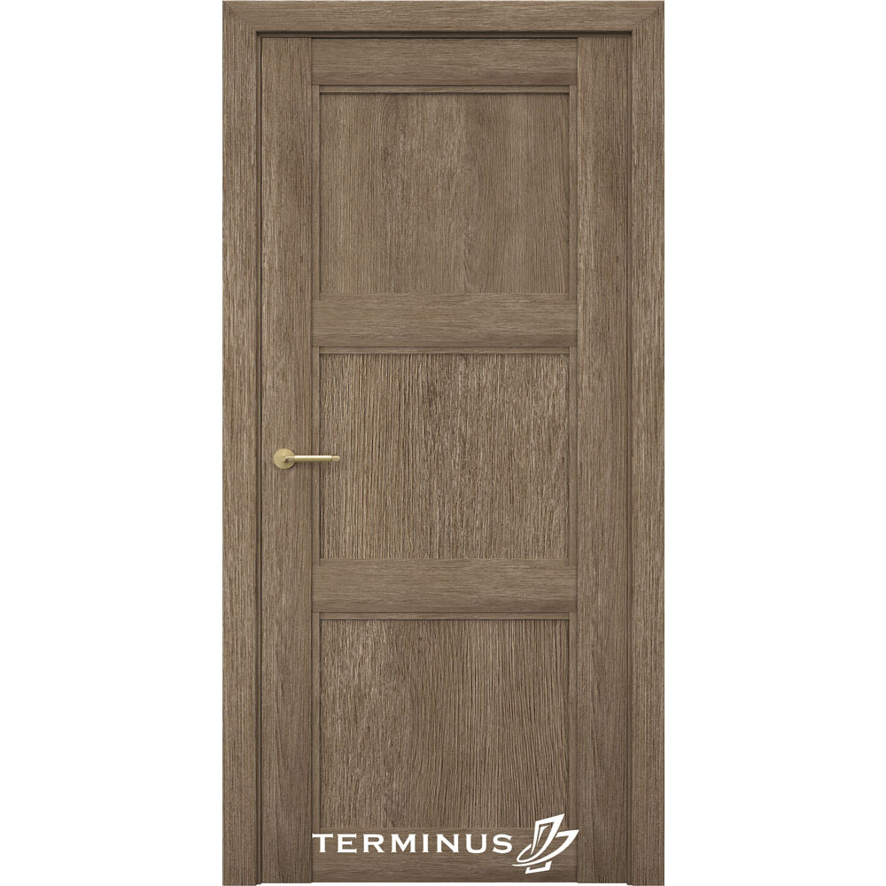 Двері TERMINUS NanoFlex #309 поліпропілен