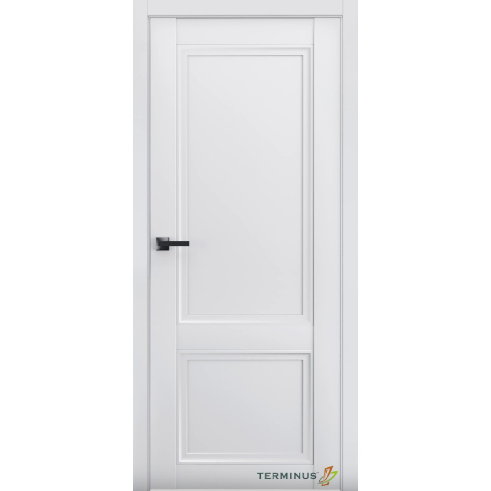 Двері TERMINUS Neo-Soft #402