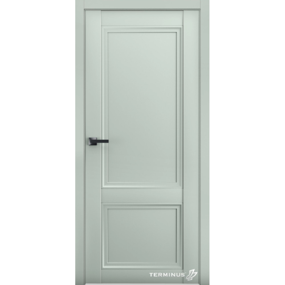 Двері TERMINUS Neo-Soft #402