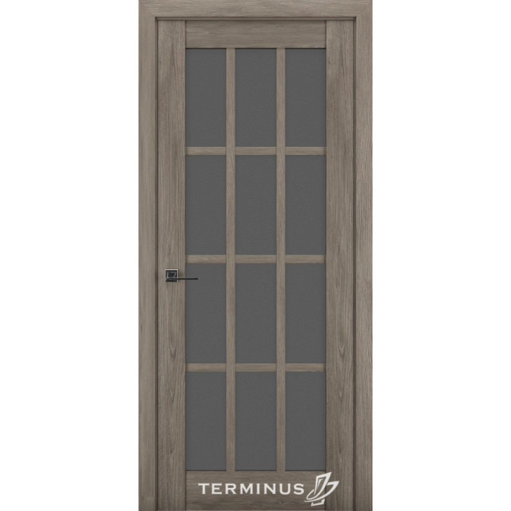 Двері TERMINUS Synchro #603
