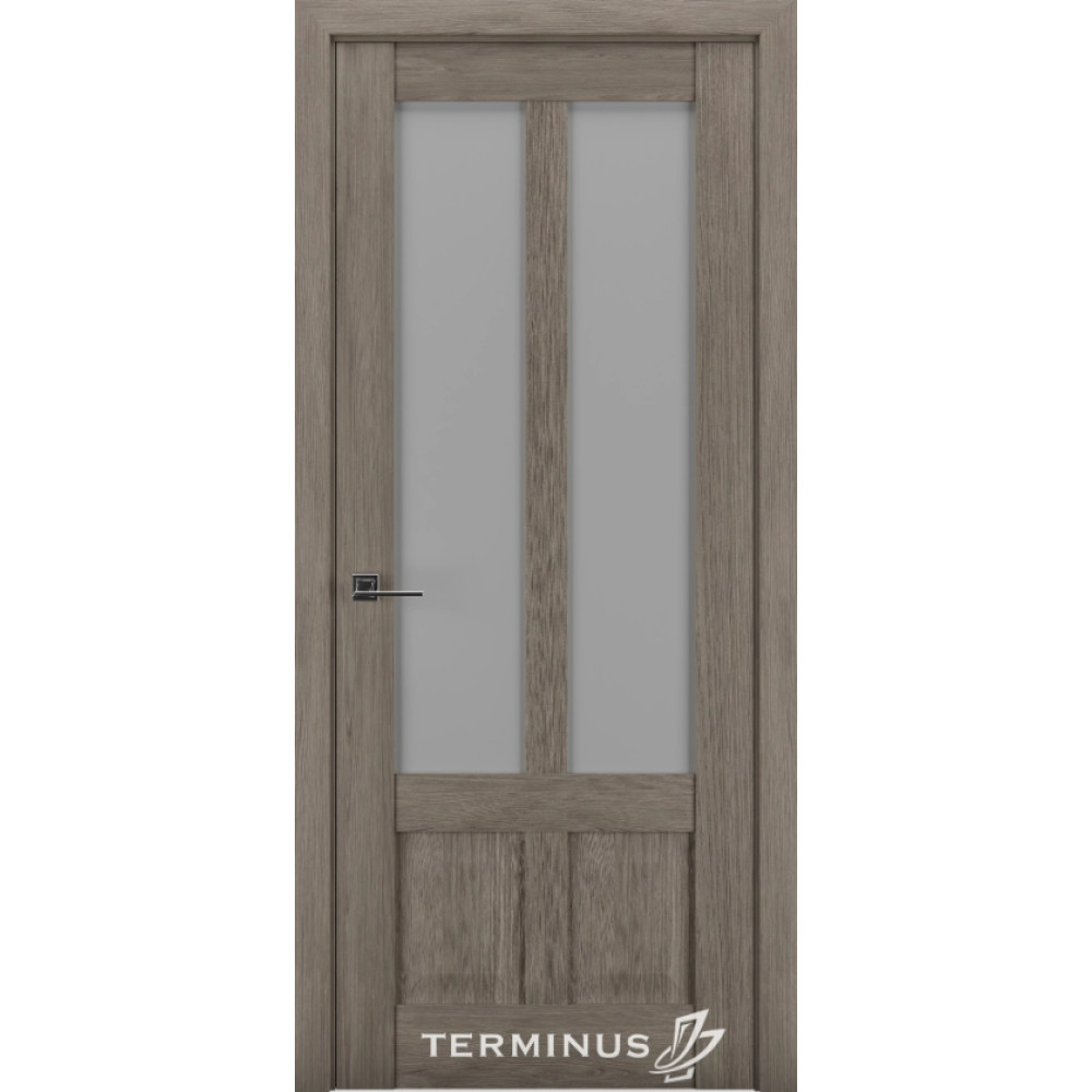 Двері TERMINUS Synchro #609 ПО