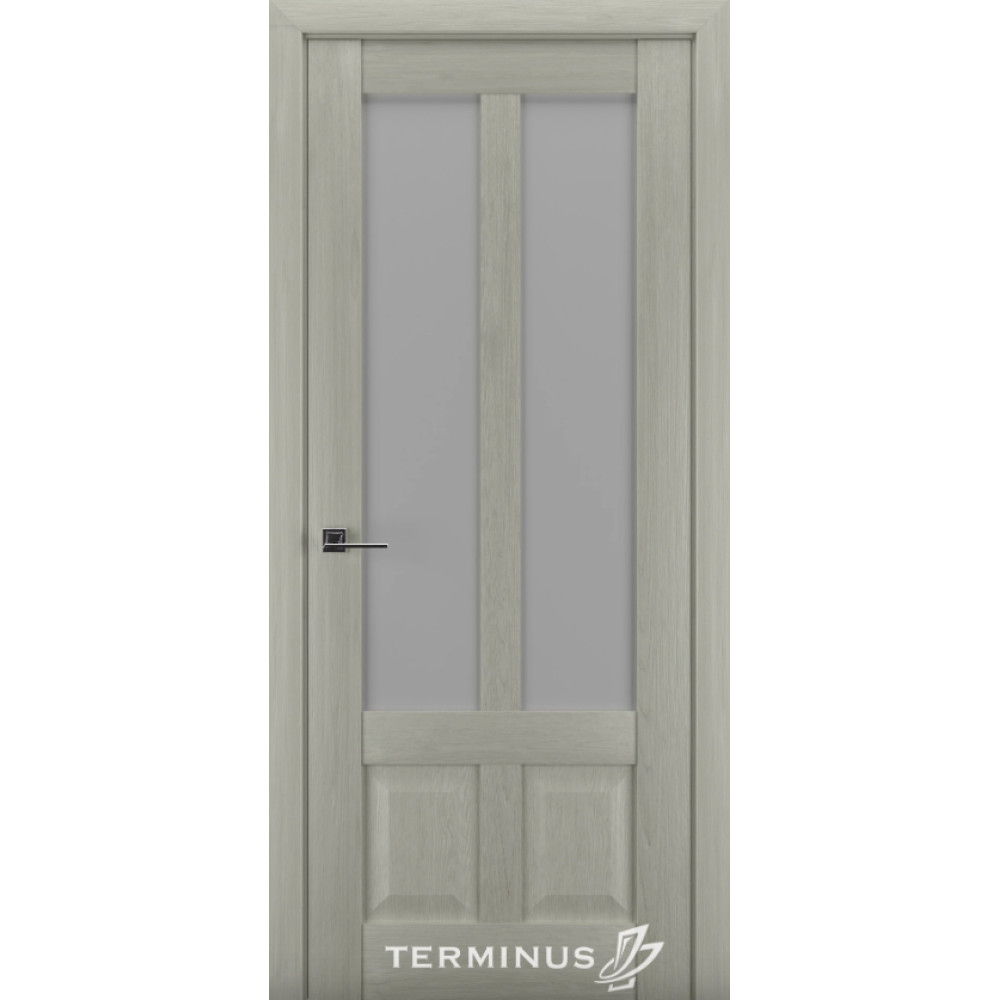 Двері TERMINUS Synchro #609 ПО