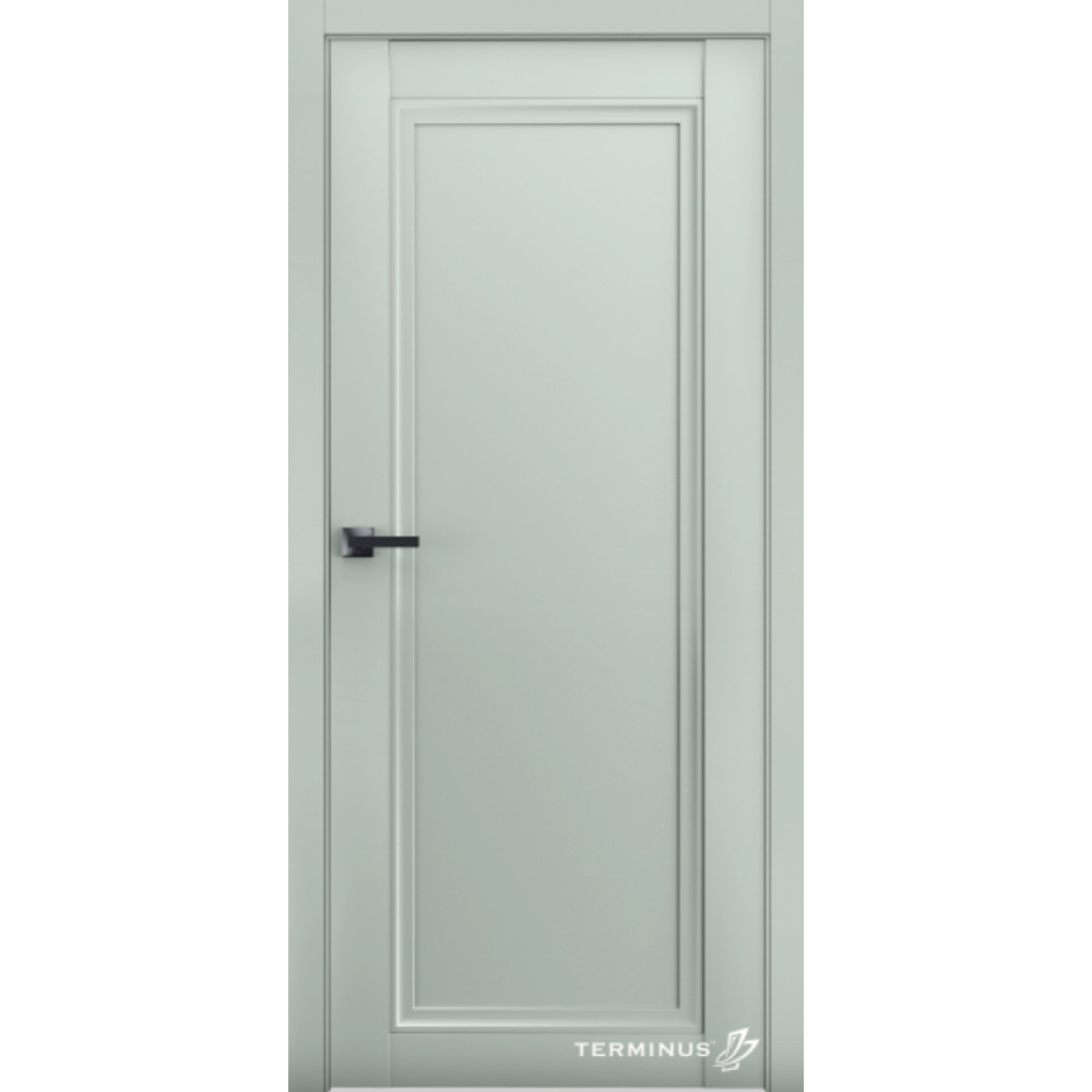 Двері TERMINUS Neo-Soft #401