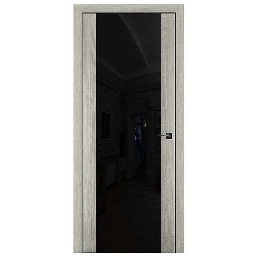 Двері TERMINUS Solid 808 Outside, ТАП чорний (категорія 2)