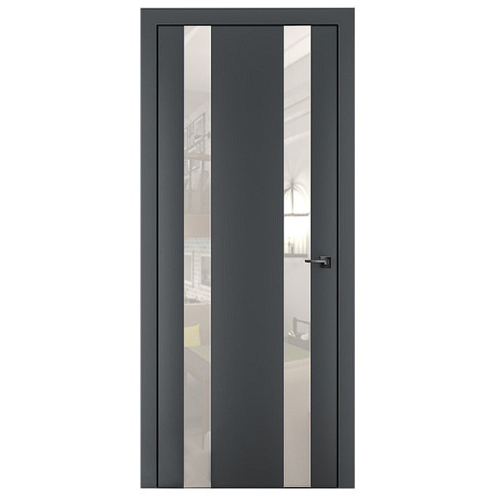 Двері TERMINUS Solid 811 Outside, ТАП чорний (категорія 1)