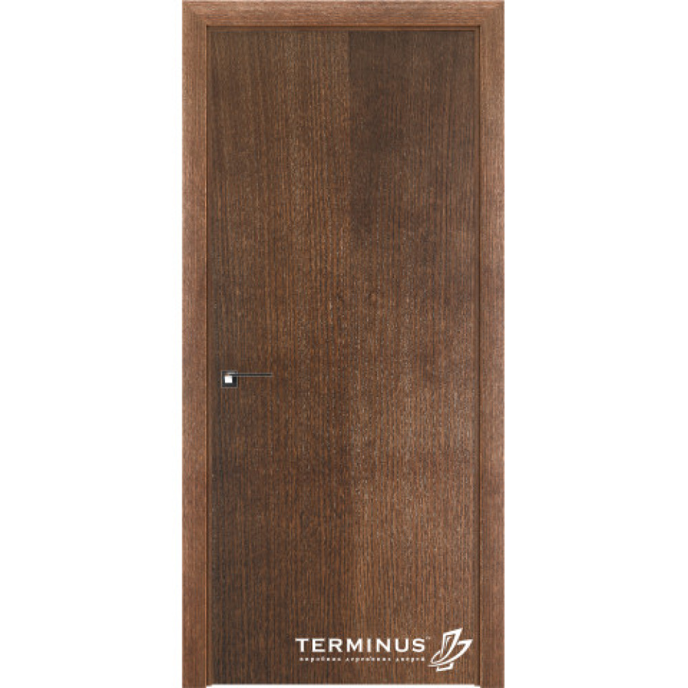 Двері шпоновані TERMINUS Solid 801 Inside, ТАП сірий