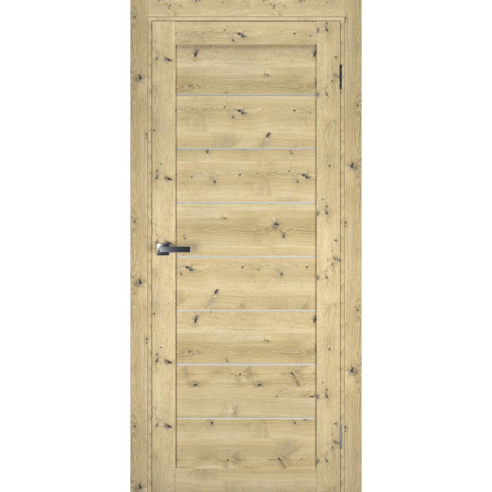 Двері TERMINUS Ukrainian Doors UD-1 ПВХ