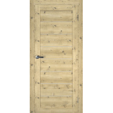 Двері TERMINUS Ukrainian Doors UD-1 Екошпон