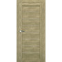 Двері TERMINUS Ukrainian Doors UD-1 ПВХ