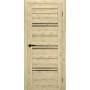 Двері TERMINUS Ukrainian Doors UD-11 ПВХ