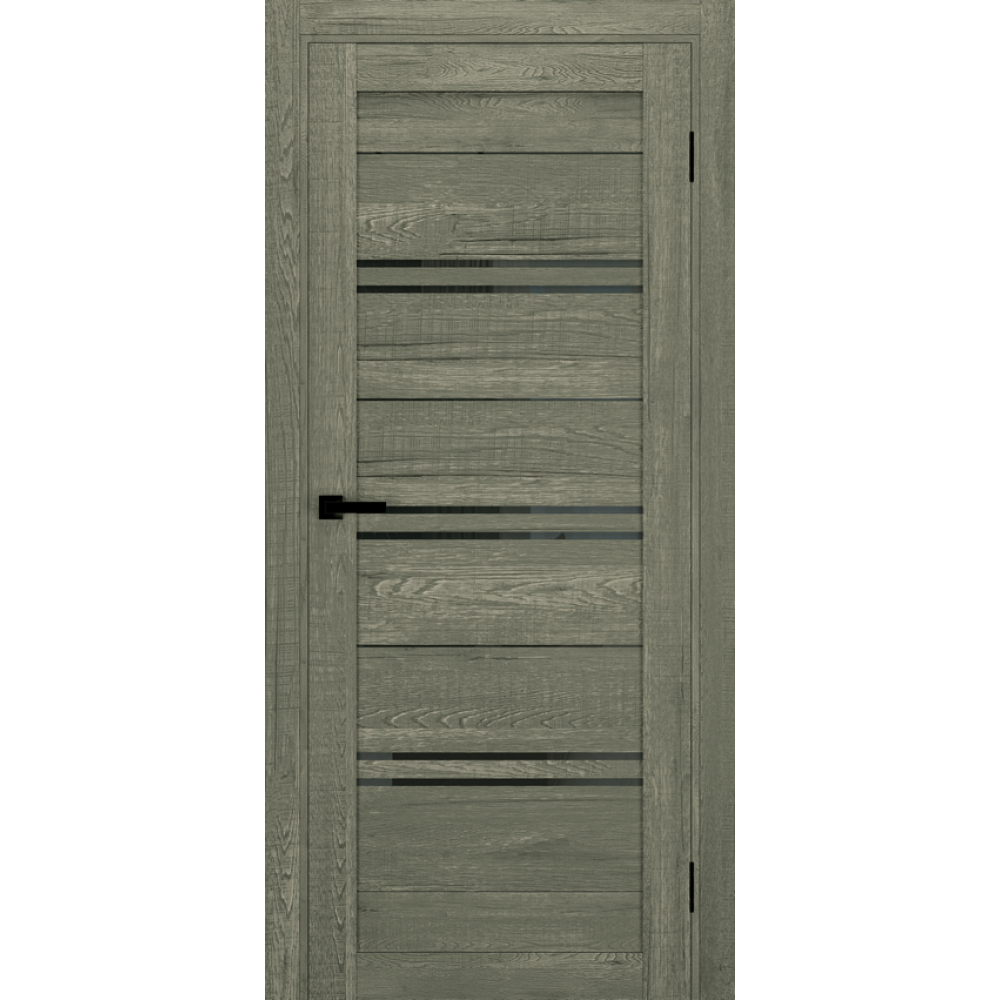 Двері TERMINUS Ukrainian Doors UD-11 Екошпон