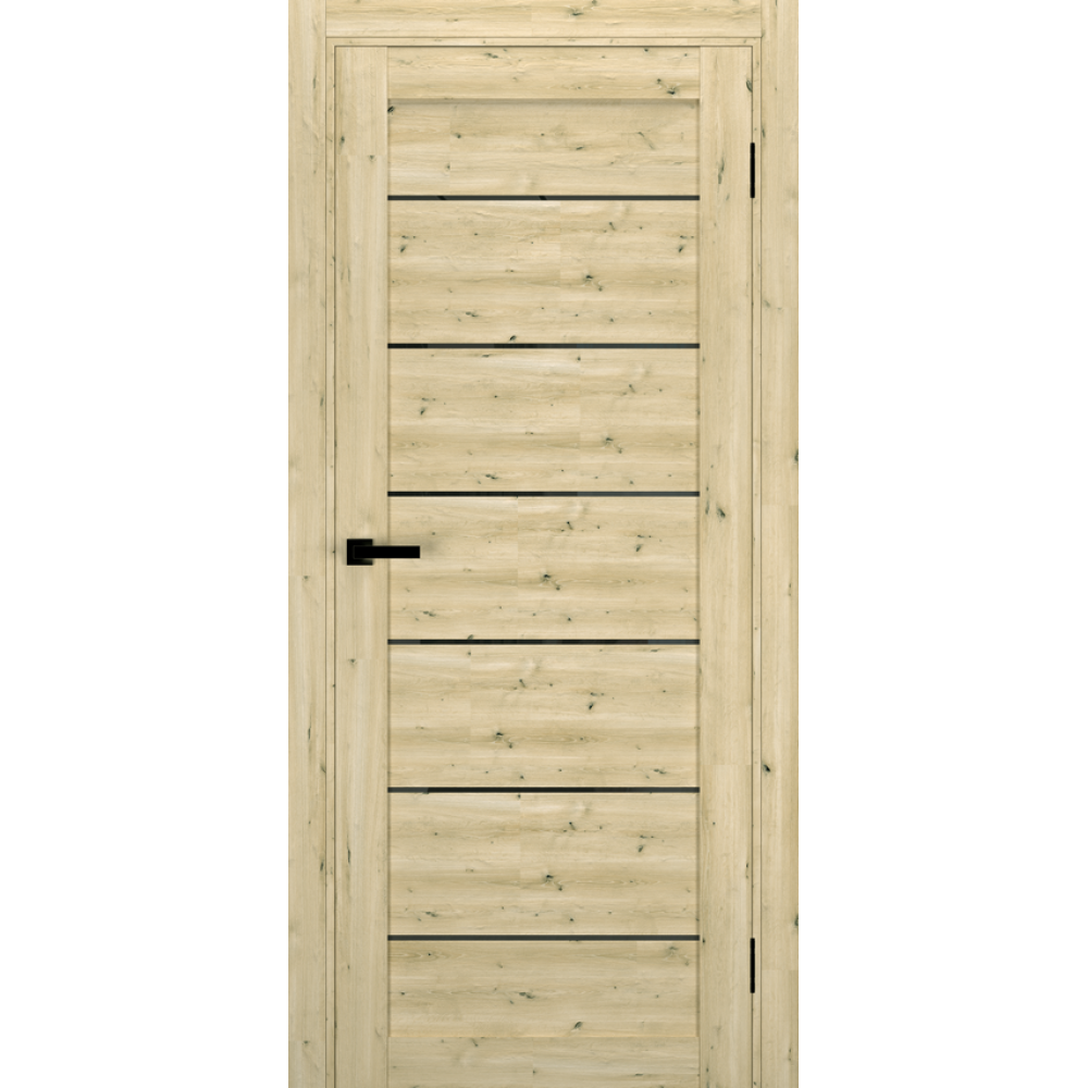 Двері TERMINUS Ukrainian Doors UD-12 Екошпон