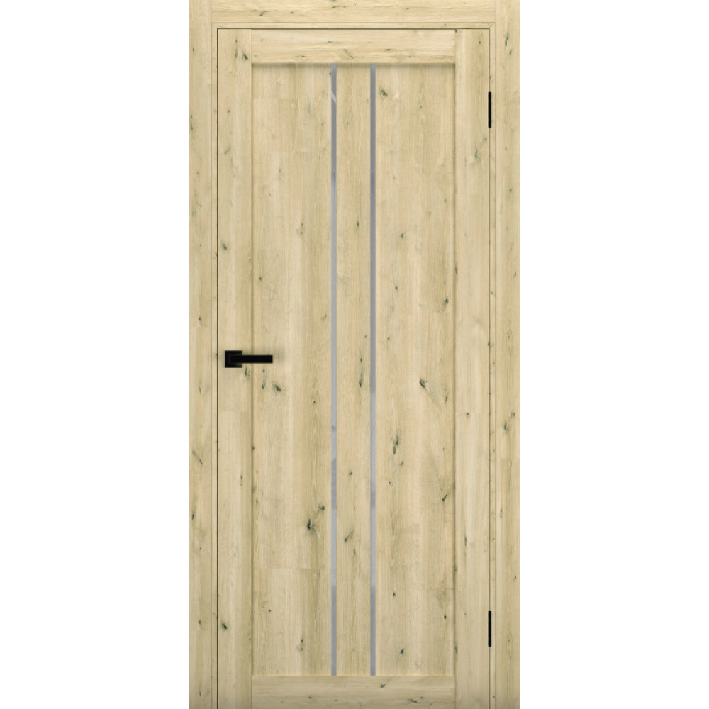 Двері TERMINUS Ukrainian Doors UD-14 Екошпон