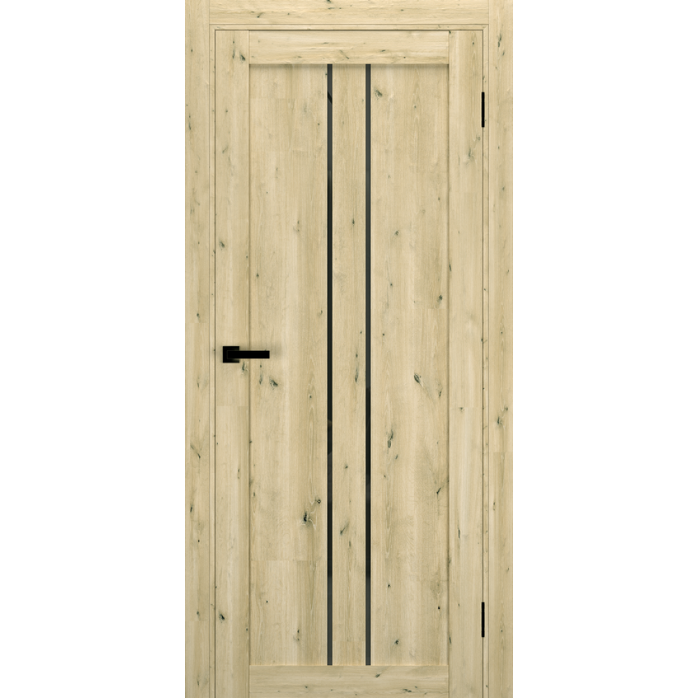 Двері TERMINUS Ukrainian Doors UD-14 Екошпон