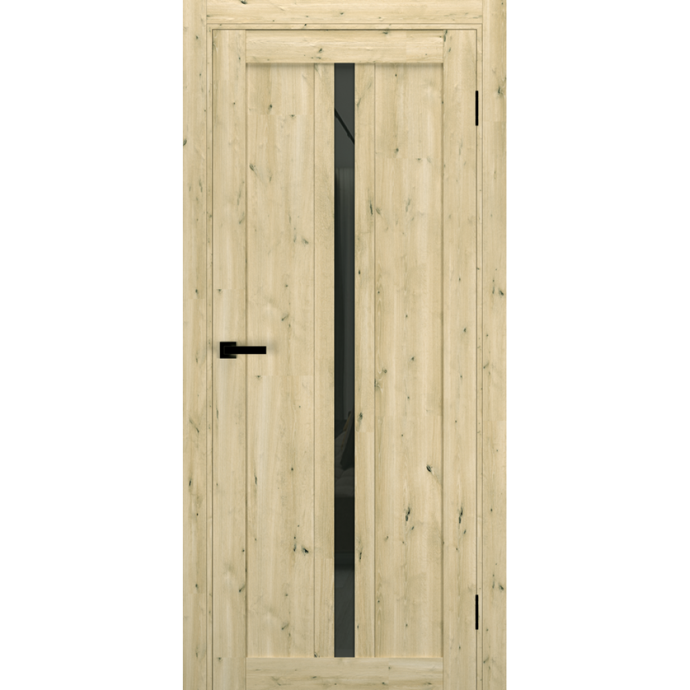 Двері TERMINUS Ukrainian Doors UD-19 Екошпон