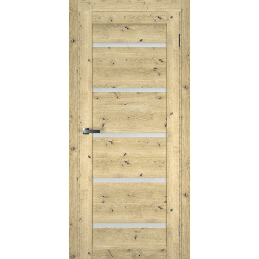 Двері TERMINUS Ukrainian Doors UD-2 ПВХ