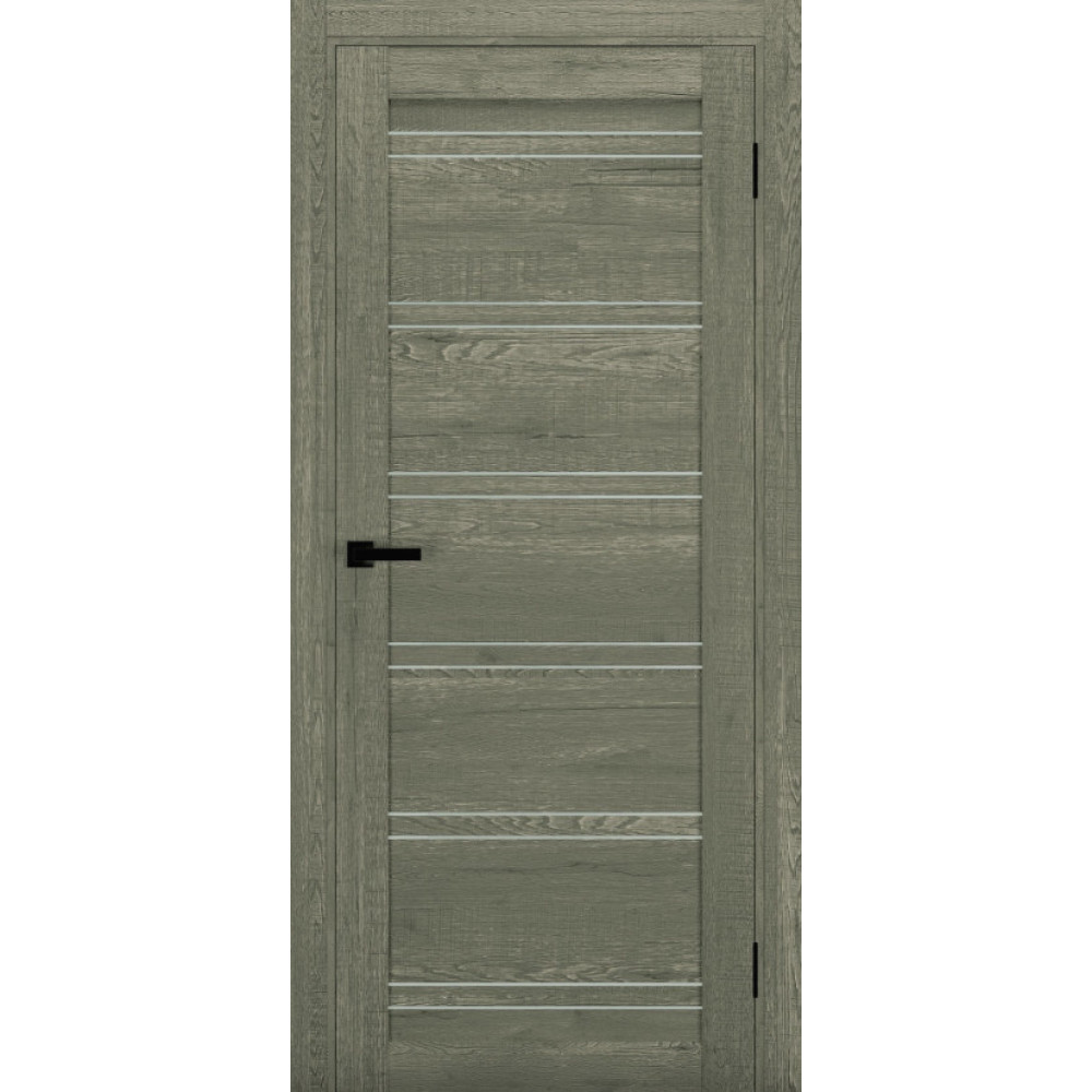 Двері TERMINUS Ukrainian Doors UD-20 Екошпон