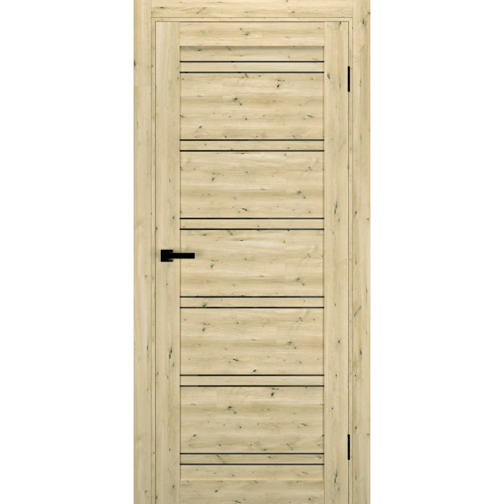 Двері TERMINUS Ukrainian Doors UD-20 Екошпон