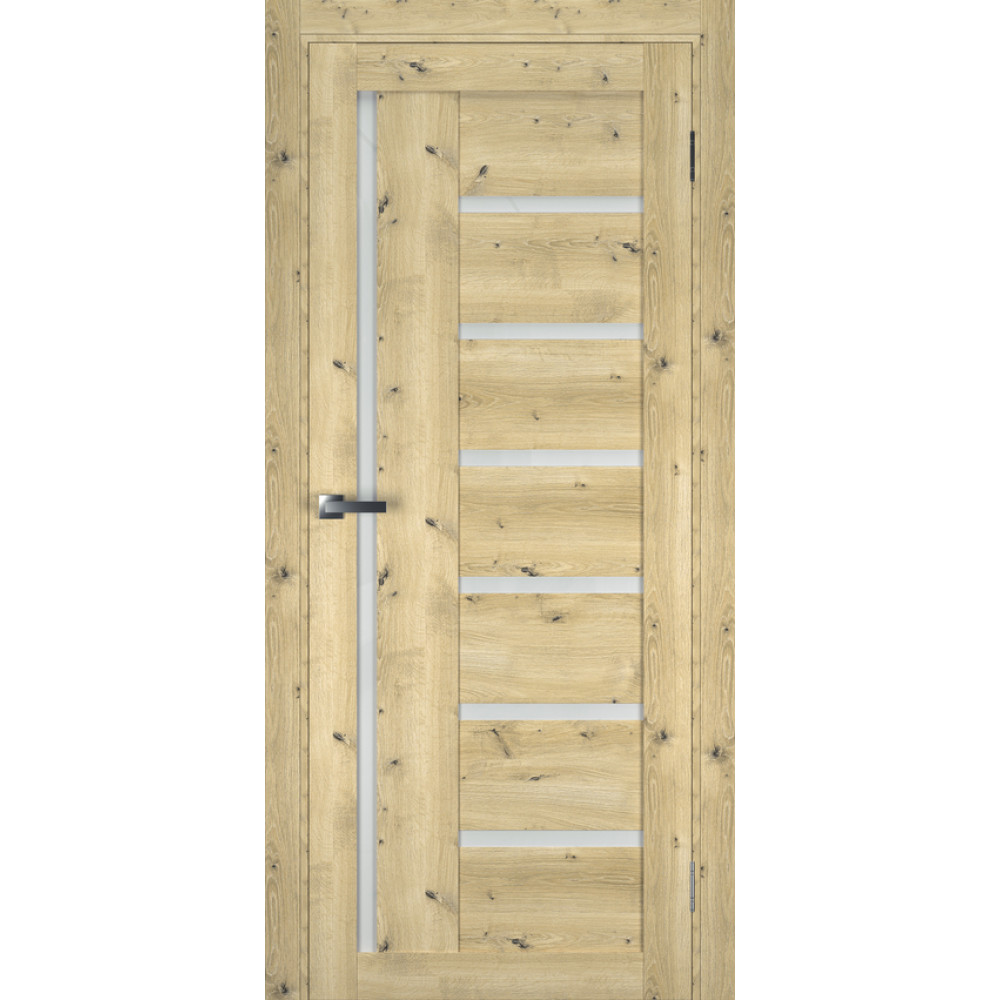 Двері TERMINUS Ukrainian Doors UD-3 Екошпон