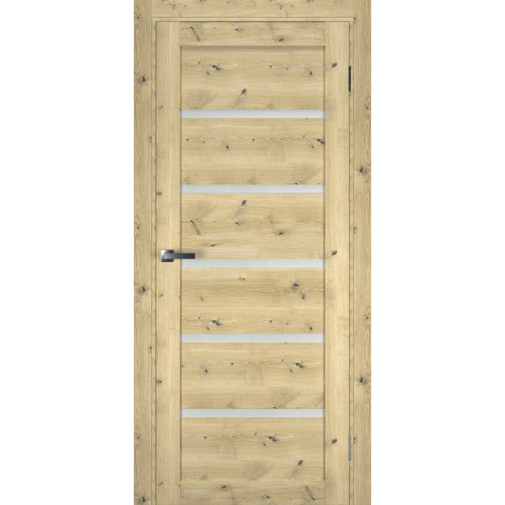 Двері TERMINUS Ukrainian Doors UD-4 Екошпон