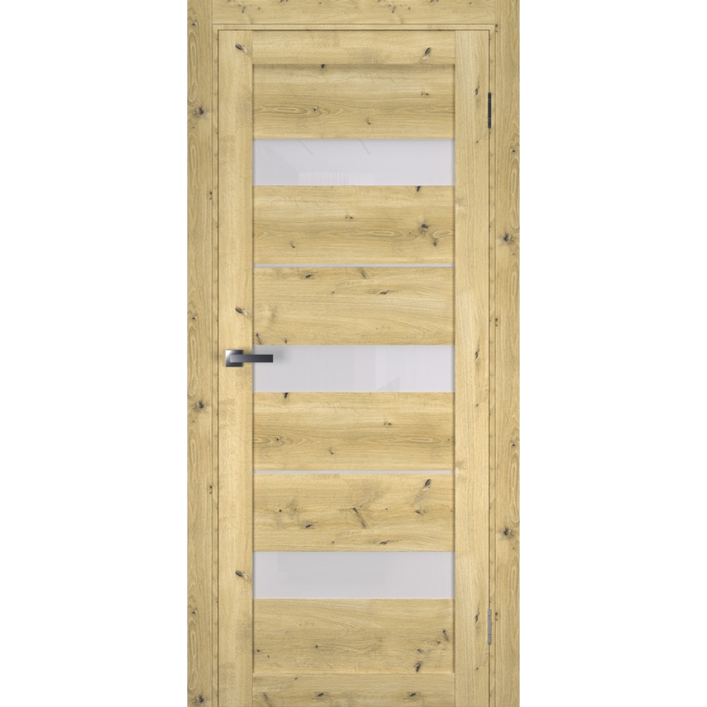 Двері TERMINUS Ukrainian Doors UD-7 Екошпон