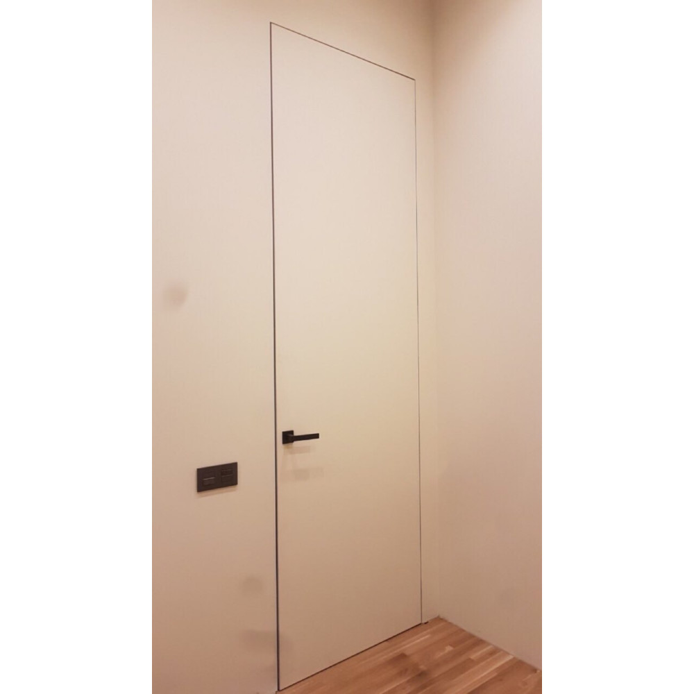 Міжкімнатні двері прихованого монтажу Doorway OP00