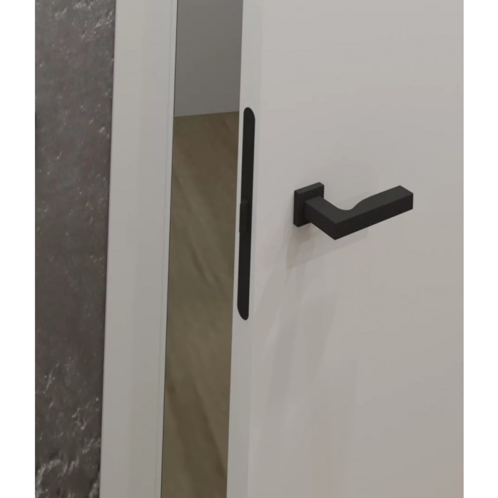 Двері DANAPRIS Loft Simple