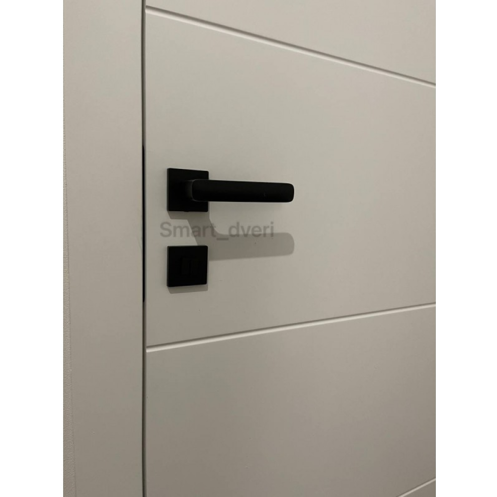 Двері DOORIS G02