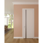 Двері DOORIS GW04