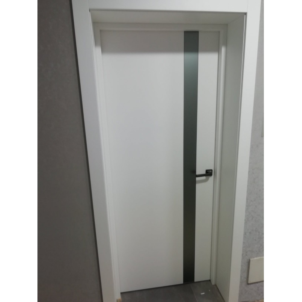 Двері DOORIS GW04