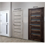 Двері DOORIS LA04