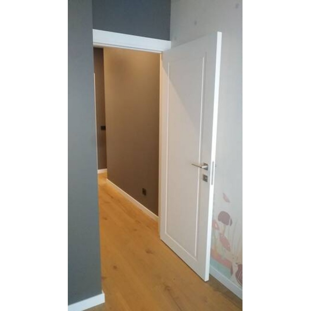 Двері DOORIS P01