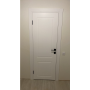Двері DOORIS P02