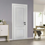 Двері DOORIS P02