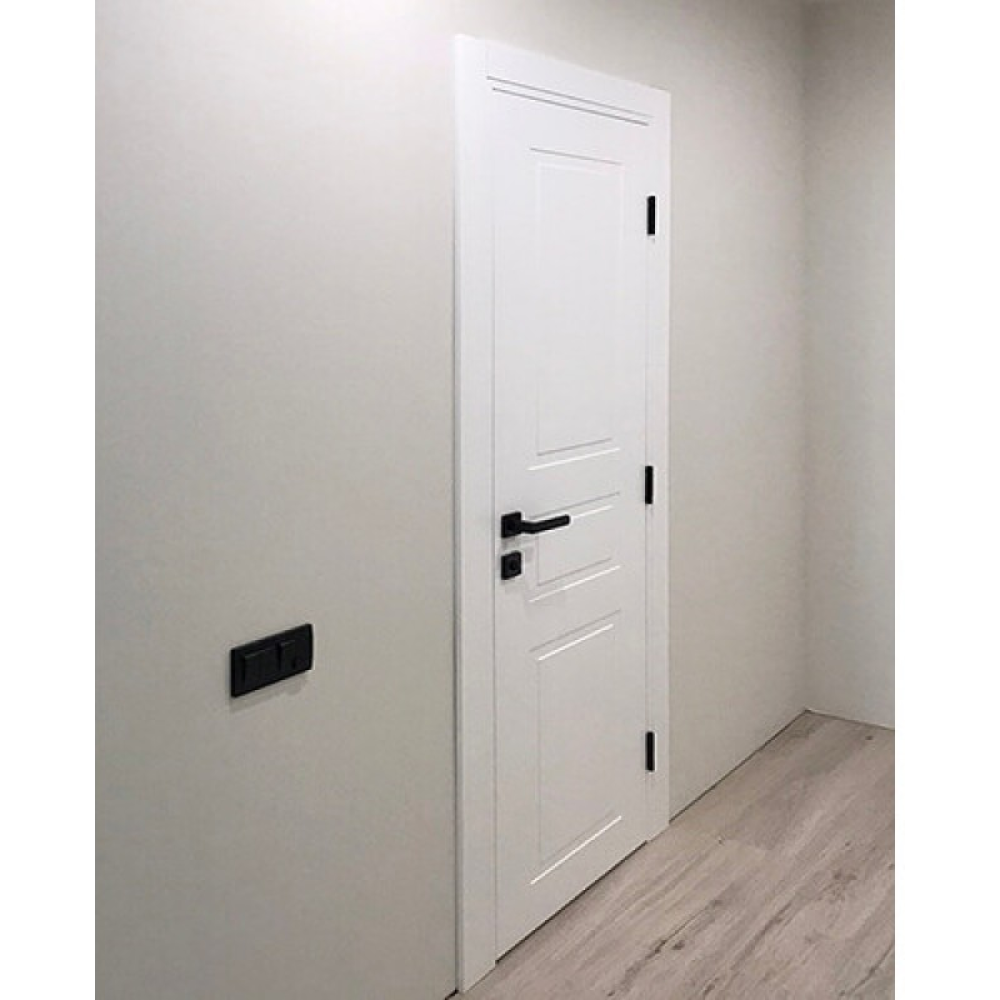 Двері DOORIS P06