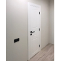Двері DOORIS P06