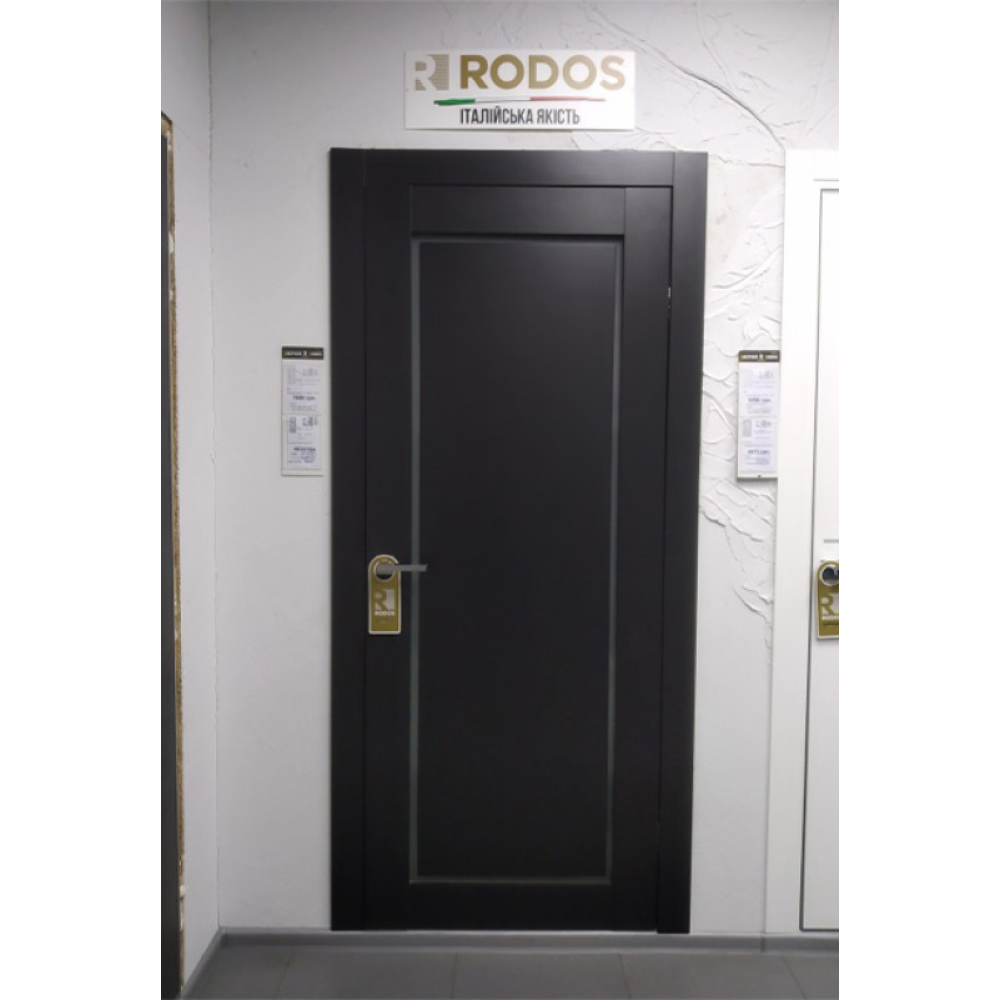 Двері RODOS Porto 2 Loft