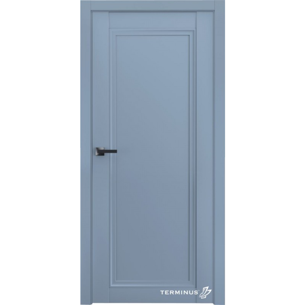 Двері TERMINUS Neo-soft 401