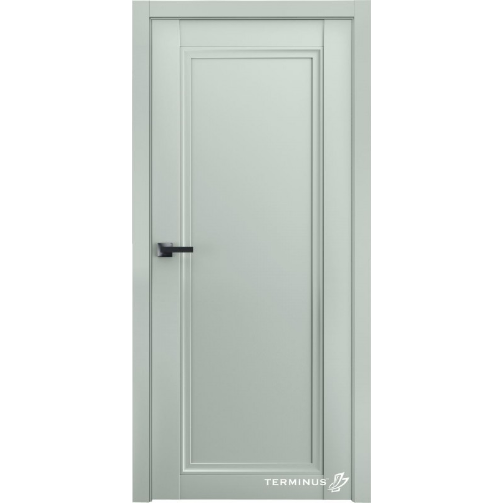 Двері TERMINUS Neo-soft 401