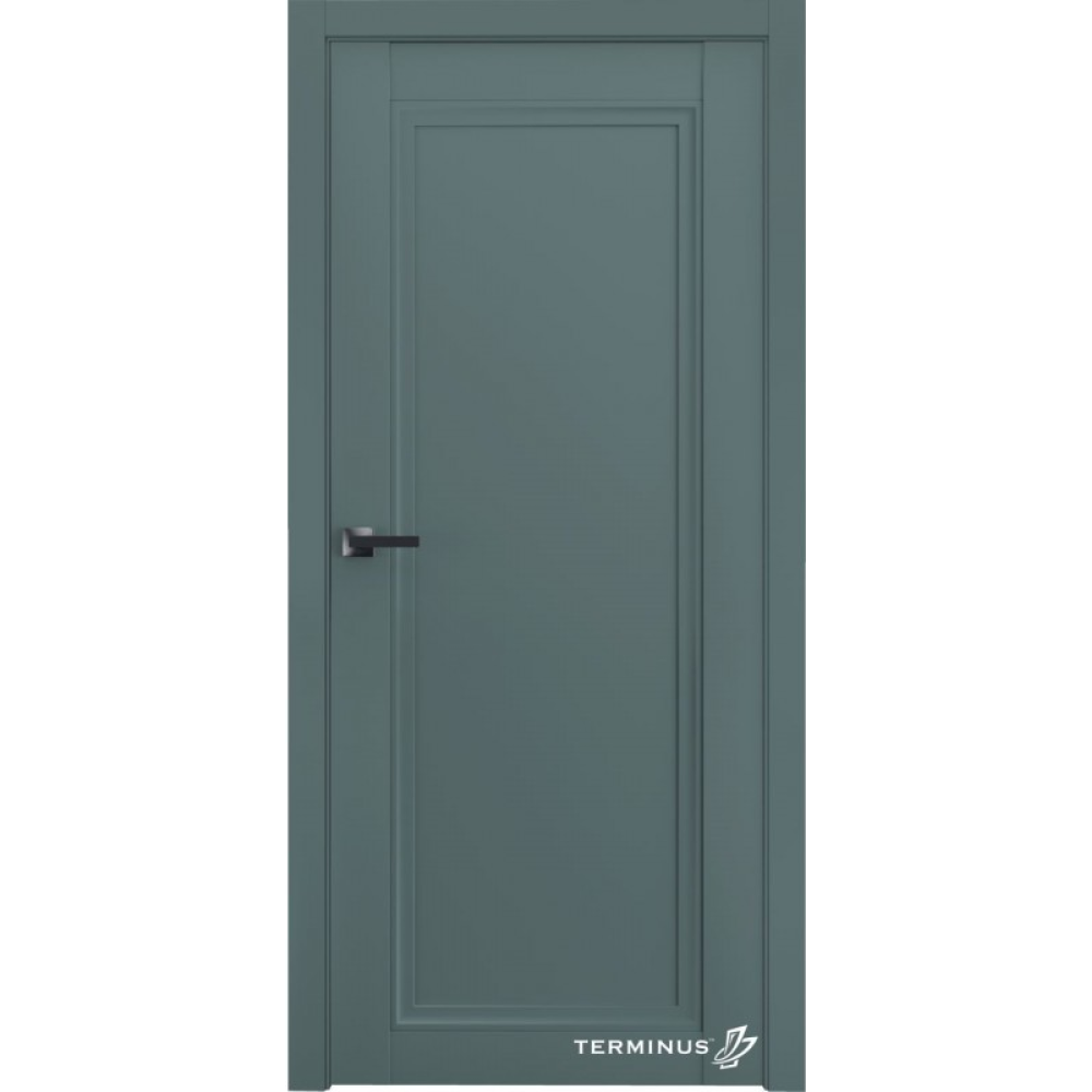 Двері TERMINUS Neo-soft 401