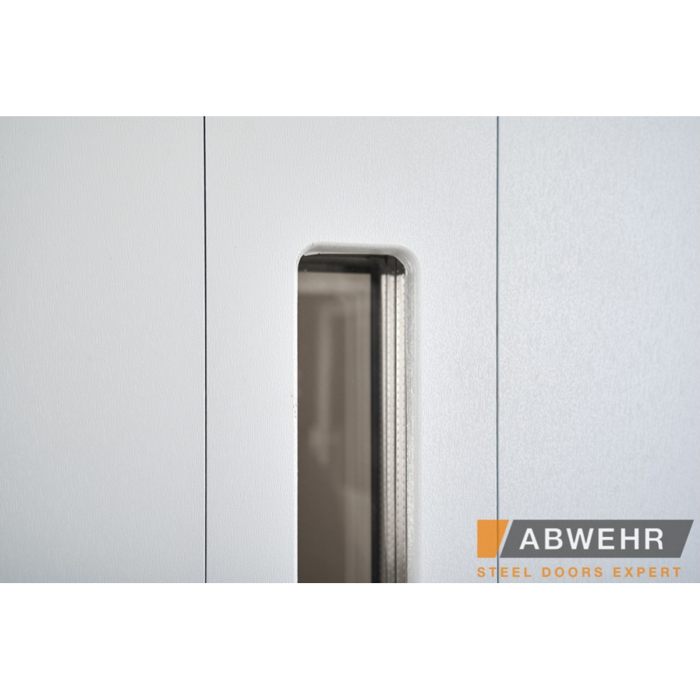 Вхідні двері ABWEHR Nordi Glass