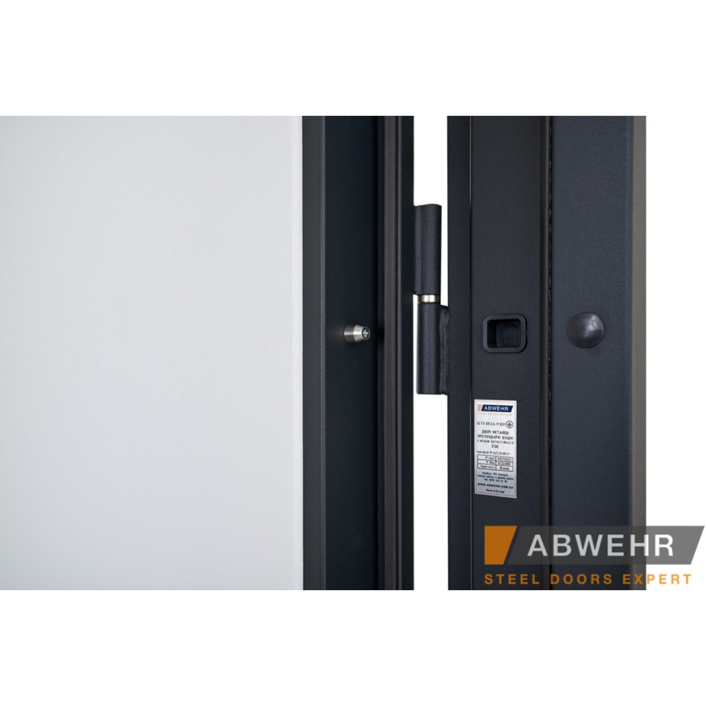 Вхідні двері ABWEHR Nordi Glass