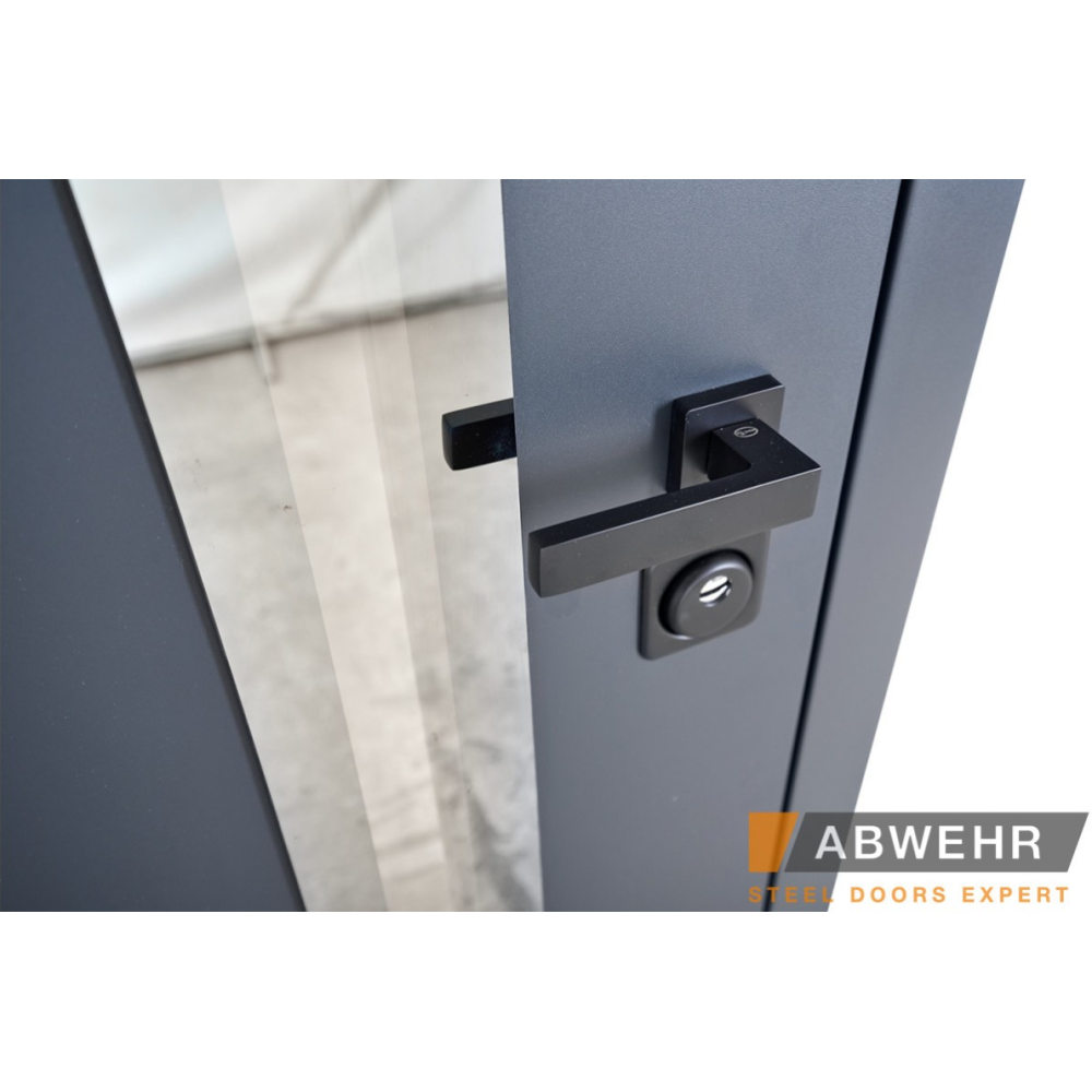 Вхідні двері ABWEHR Nordi Glass