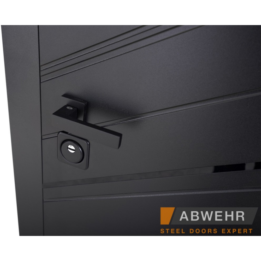 Вхідні двері ABWEHR Rain