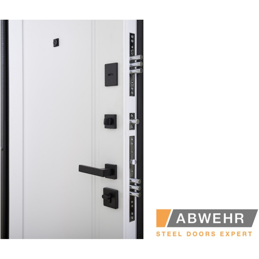 Вхідні двері ABWEHR Rain