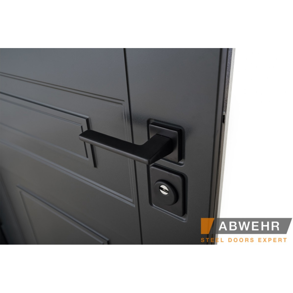 Вхідні двері ABWEHR Scandi